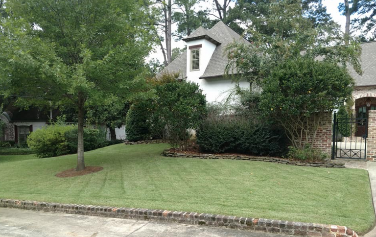 Winfield Tree and Lawn Service